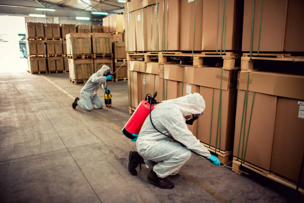 Best Flea Control Services  in Compton, CA