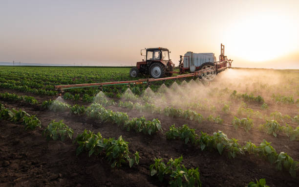 Best Pest Control Cost  in Compton, CA