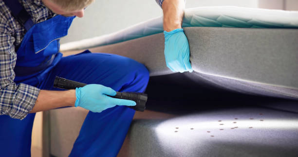 Best Best Pest Control Companies  in Compton, CA