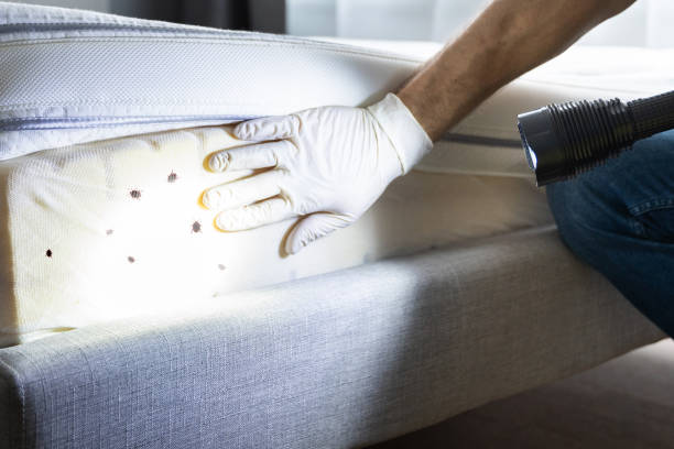 Best Pest Inspection Near Me  in Compton, CA