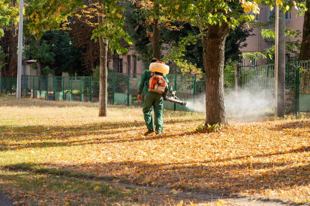 Best Pest Control Near Me  in Compton, CA