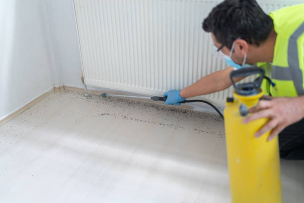 Pest Control Cost in Compton, CA