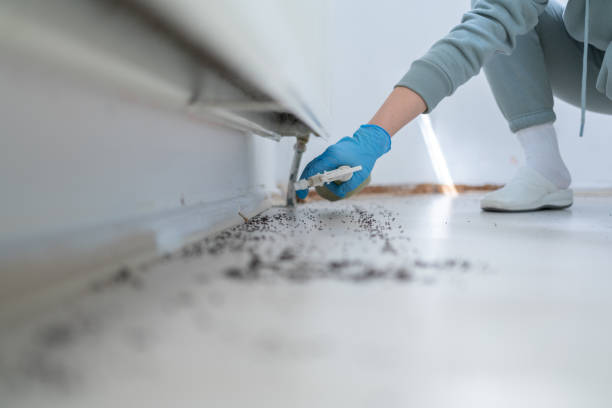 Best Best Pest Control Companies  in Compton, CA