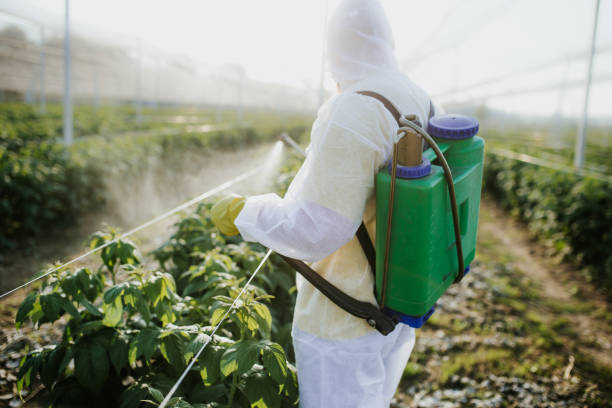 Best Wildlife Control Services  in Compton, CA